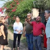 Vila-real estudia acciones y zonas para atajar la superpoblación de jabalíes. Vila-real estudia acciones y zonas para atajar la superpoblación de jabalíes.