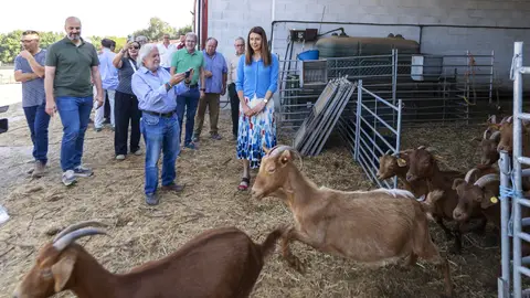 Medio Rural aposta polas razas autóctonas Medio Rural aposta polas razas autóctonas