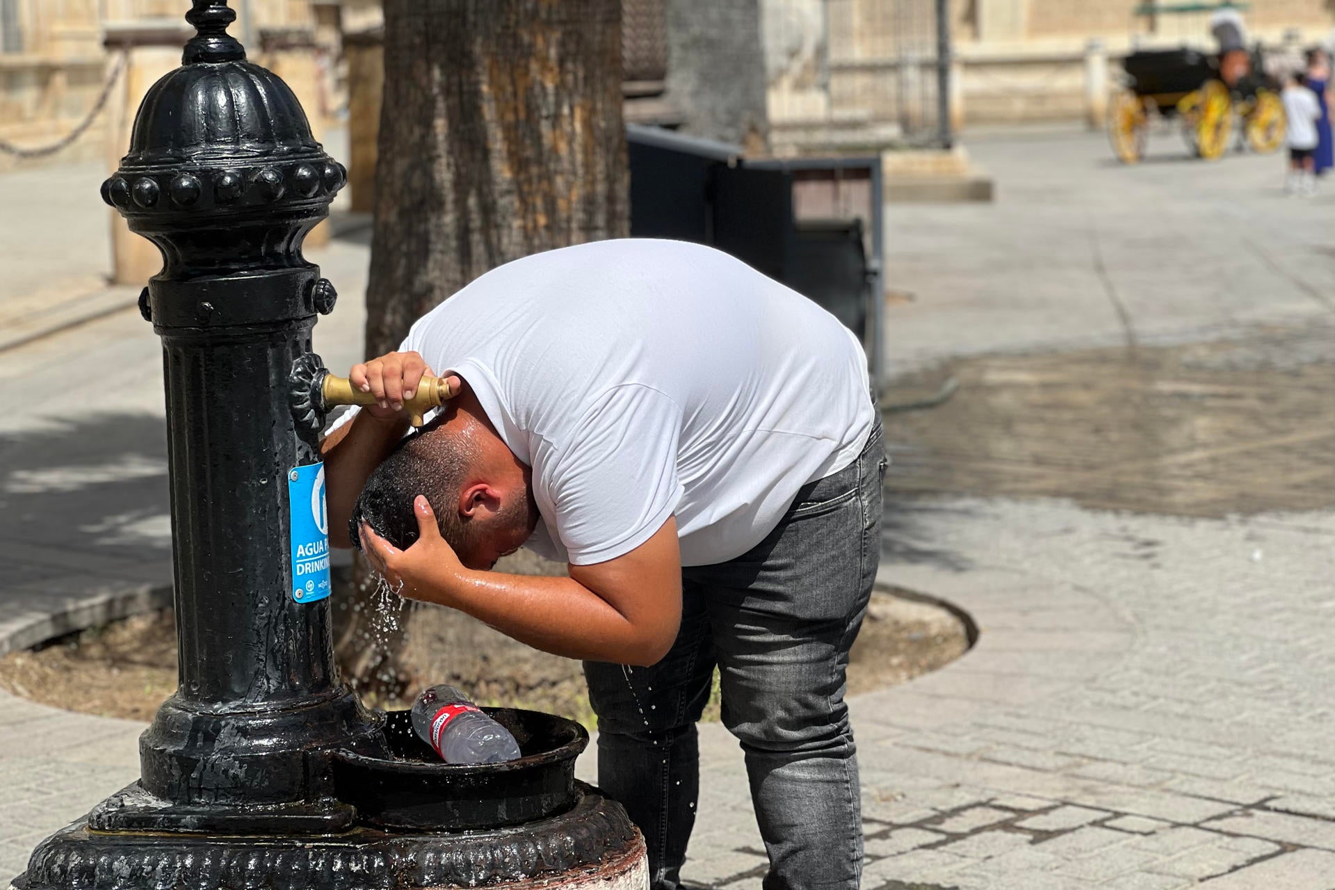 La ola de calor mantiene en aviso a 34 provincias por altas temperaturas y tormentas La ola de calor mantiene en aviso a 34 provincias por altas temperaturas y tormentas