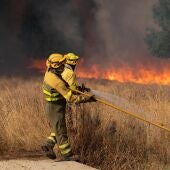 Bomberos actúan contra el fuego en la provincia de Zamora 