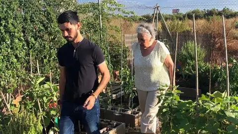 El Gobierno municipal publica las bases y convocatoria para el uso de las 448 parcelas de los huertos urbanos de Castellón El Gobierno municipal publica las bases y convocatoria para el uso de las 448 parcelas de los huertos urbanos de Castellón