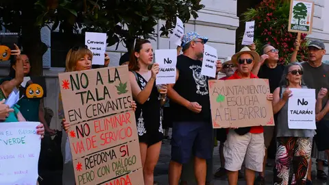 Vecinos de la avenida Cervantes exigen al Ayuntamiento de Granada frenar la tala de árboles y revisar el proyecto de reforma Vecinos de la avenida Cervantes exigen al Ayuntamiento de Granada frenar la tala de árboles y revisar el proyecto de reforma