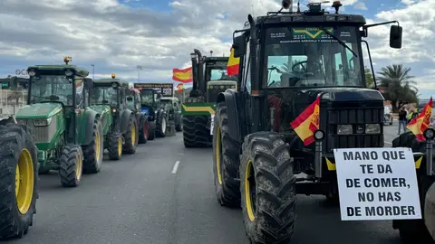 ASAJA Alicante califica de "catastrófico" el nuevo acuerdo arancelario entre EE.UU. y la UE ASAJA Alicante califica de "catastrófico" el nuevo acuerdo arancelario entre EE.UU. y la UE