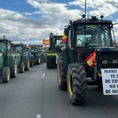 ASAJA Alicante califica de "catastrófico" el nuevo acuerdo arancelario entre EE.UU. y la UE ASAJA Alicante califica de "catastrófico" el nuevo acuerdo arancelario entre EE.UU. y la UE