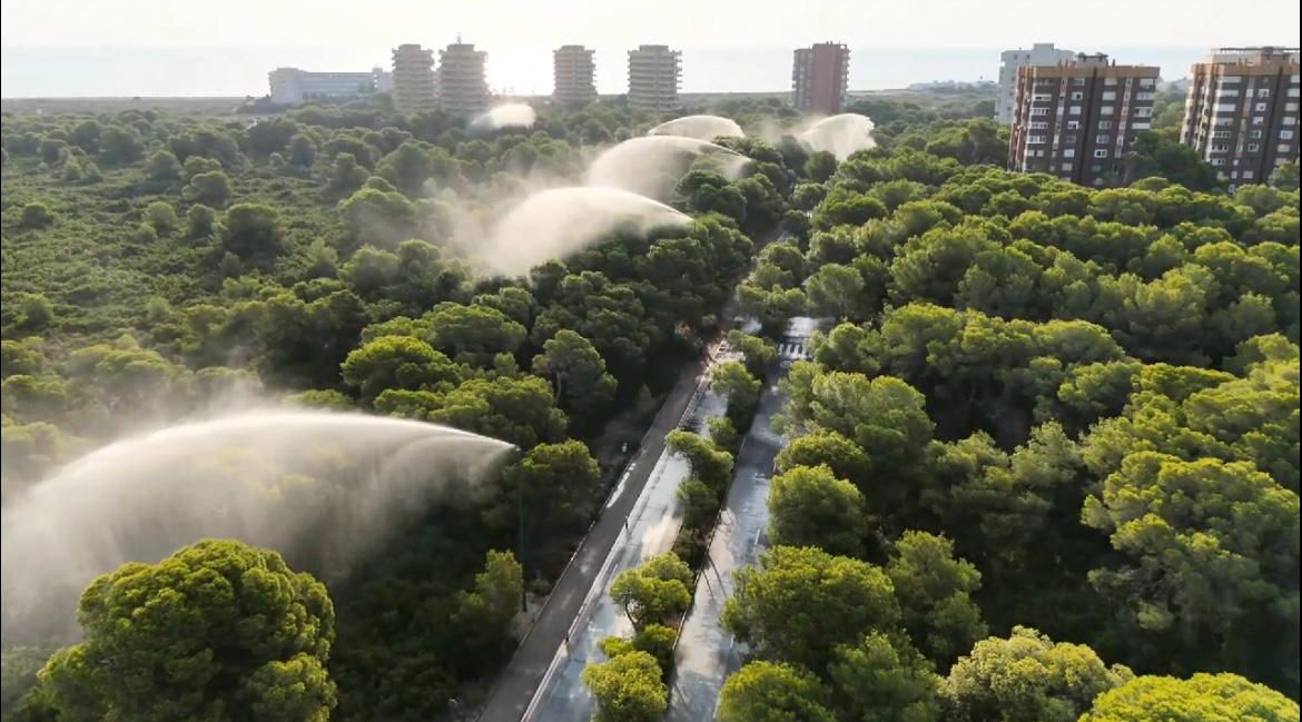 El Ayuntamiento de València activa los ocho cañones de agua del parque natural de la Devesa de El Saler ante la ola de calor El Ayuntamiento de València activa los ocho cañones de agua del parque natural de la Devesa de El Saler ante la ola de calor