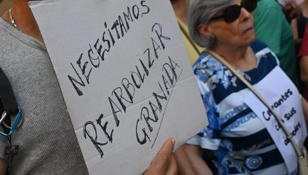Protesta de los vecinos de la Avenida Cervantes en la Plaza del Carmen Protesta de los vecinos de la Avenida Cervantes en la Plaza del Carmen