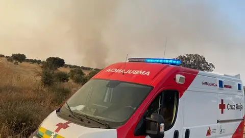 Estabilizados este domingo dos incendios en Cañaveral y en Badajoz, este último intencionado Estabilizados este domingo dos incendios en Cañaveral y en Badajoz, este último intencionado