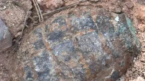 Hallan una granada de mano en un sendero de Quart de las Valls Hallan una granada de mano en un sendero de Quart de las Valls