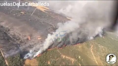 El incendio que se origin&oacute; en Molezuelas de la Carballeda avanza a gran velocidad
