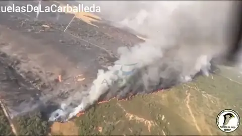 El incendio que se originó en Molezuelas de la Carballeda avanza a gran velocidad El incendio que se originó en Molezuelas de la Carballeda avanza a gran velocidad