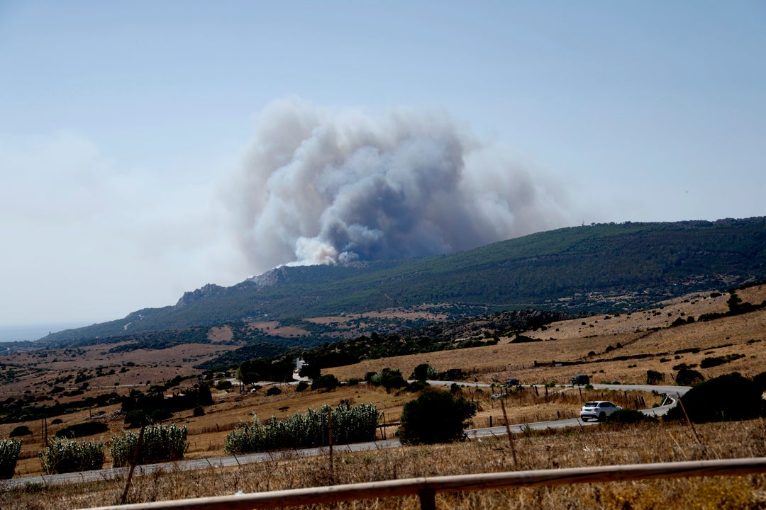 Luz Verde: Los incendios 11/08/2025 Luz Verde: Los incendios 11/08/2025