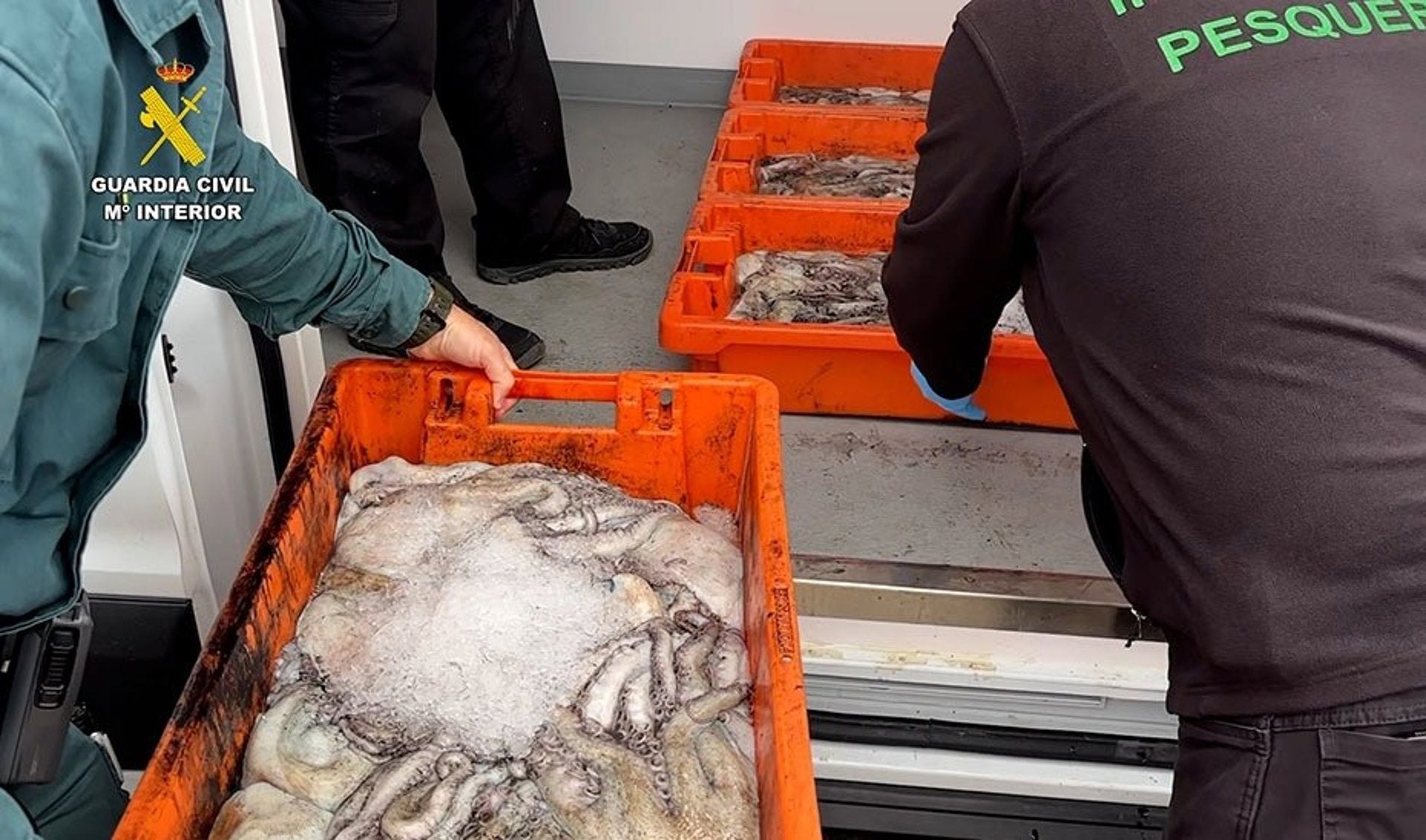 La Junta y el Seprona intervienen más de 500 kilos de pescado sin garantía alimentaria en La Rinconada La Junta y el Seprona intervienen más de 500 kilos de pescado sin garantía alimentaria en La Rinconada