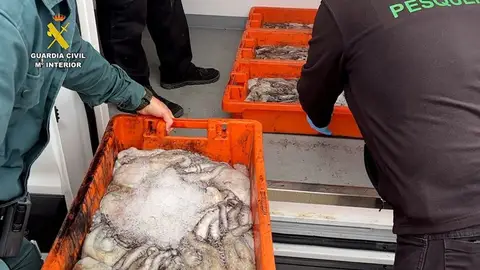 Pescado decomisado en La Rinconada. - GUARDIA CIVIL Pescado decomisado en La Rinconada. - GUARDIA CIVIL
