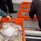 Pescado decomisado en La Rinconada. - GUARDIA CIVIL