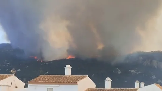 Las impactantes imágenes del incendio de Tarifa: una gran humareda cubre gran parte del cielo gaditano Las impactantes imágenes del incendio de Tarifa: una gran humareda cubre gran parte del cielo gaditano