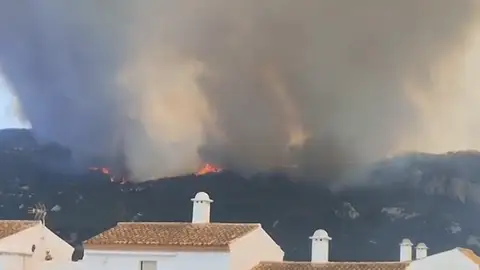 Las impactantes imágenes del incendio de Tarifa: una gran humareda cubre gran parte del cielo gaditano Las impactantes imágenes del incendio de Tarifa: una gran humareda cubre gran parte del cielo gaditano