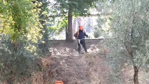 CCOO denuncia que trabajadores del Plan de empleo trabajan en jardines privados CCOO denuncia que trabajadores del Plan de empleo trabajan en jardines privados