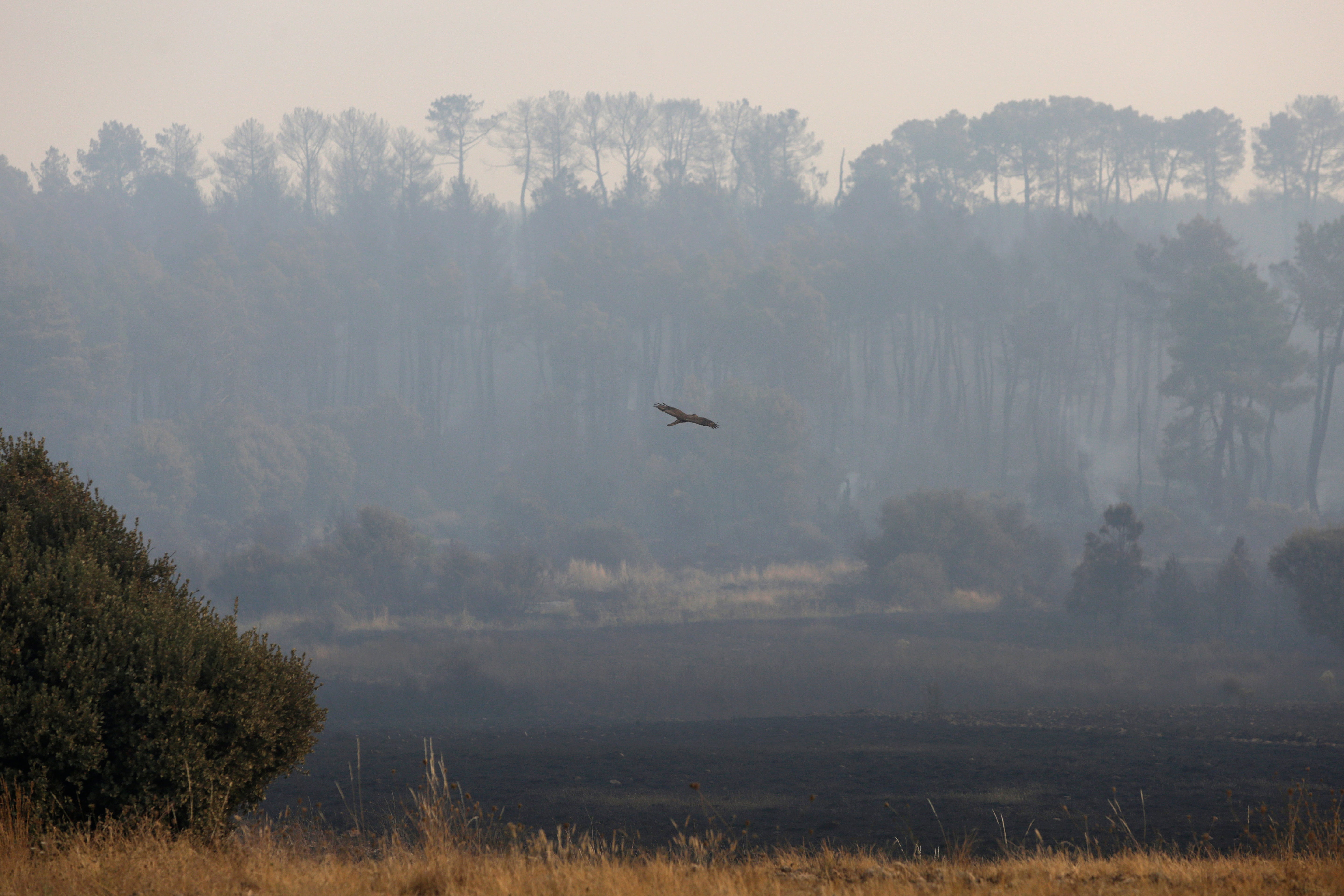 Estos son los incendios activos en España: superan las 500 hectáreas quemadas Estos son los incendios activos en España: superan las 500 hectáreas quemadas