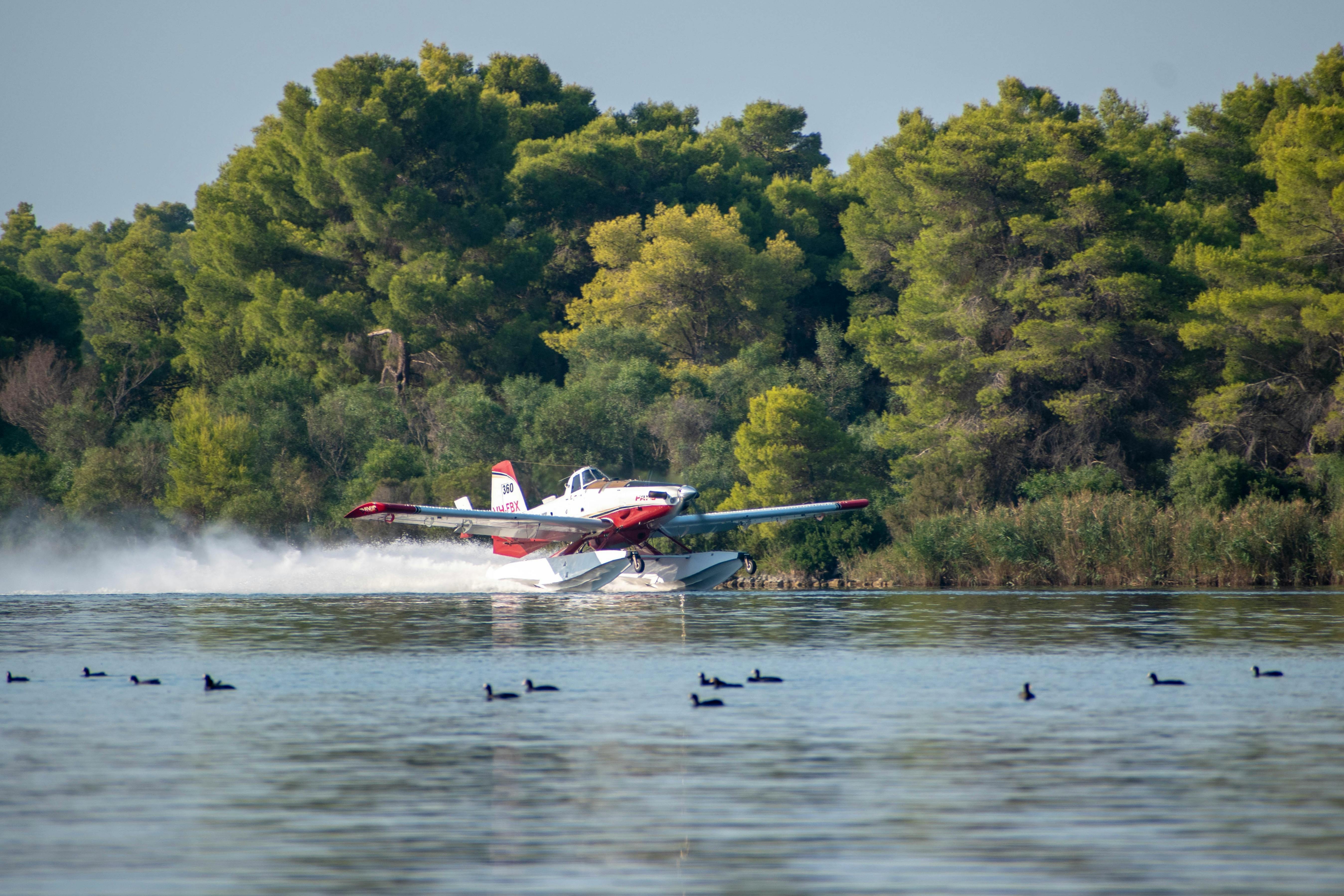 Continúan los esfuerzos en la zona mas afectadas por los incendios Continúan los esfuerzos en la zona mas afectadas por los incendios