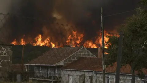 Qué significa que un territorio sea declarado como zona catastrófica por los incendios Qué significa que un territorio sea declarado como zona catastrófica por los incendios