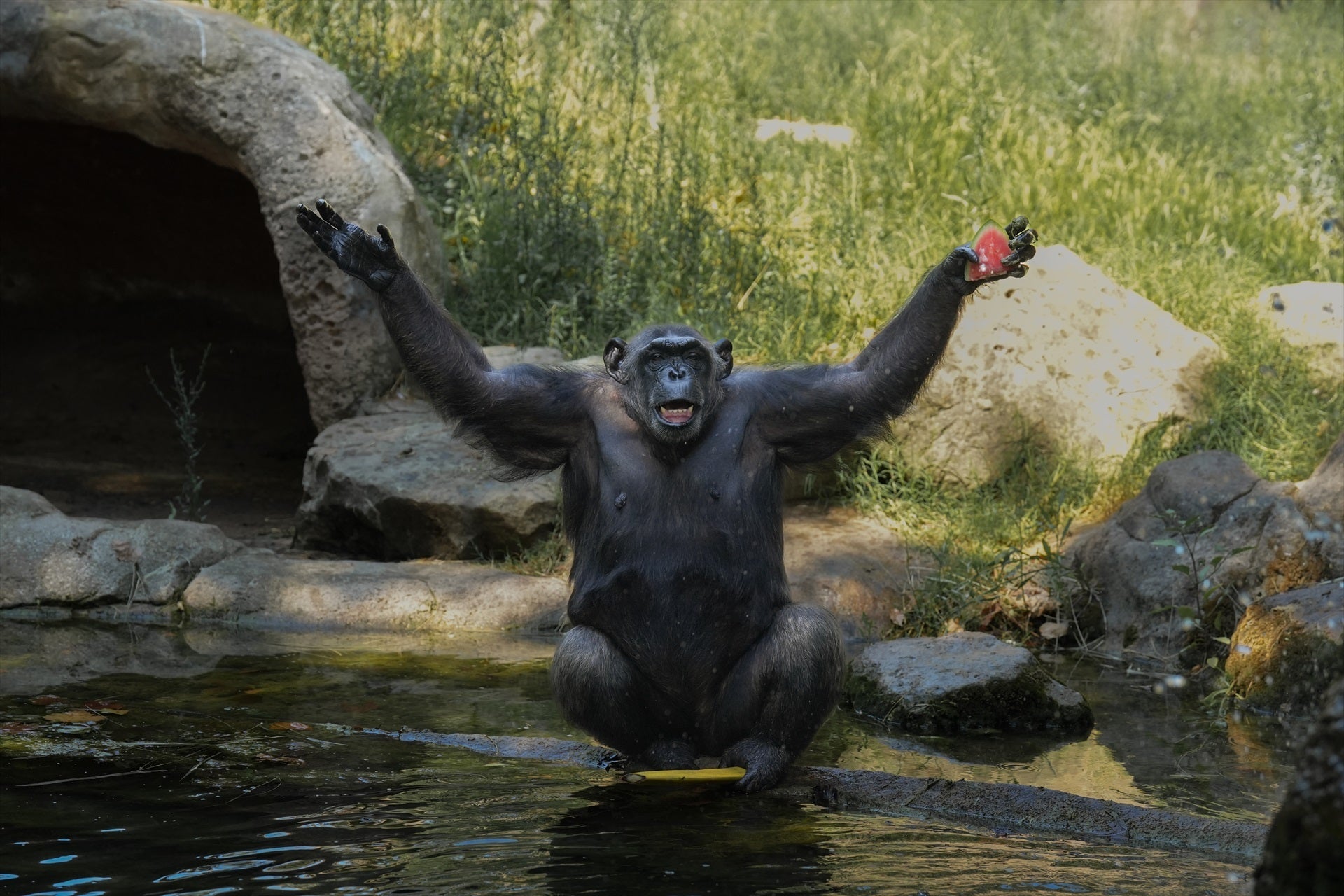 J'adore con Elisa Beni J'adore con Elisa Beni