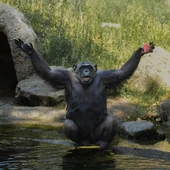 J'adore con Elisa Beni J'adore con Elisa Beni