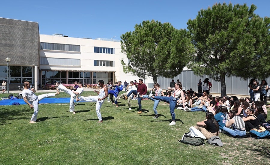 El Diferencial: artes marciales El Diferencial: artes marciales