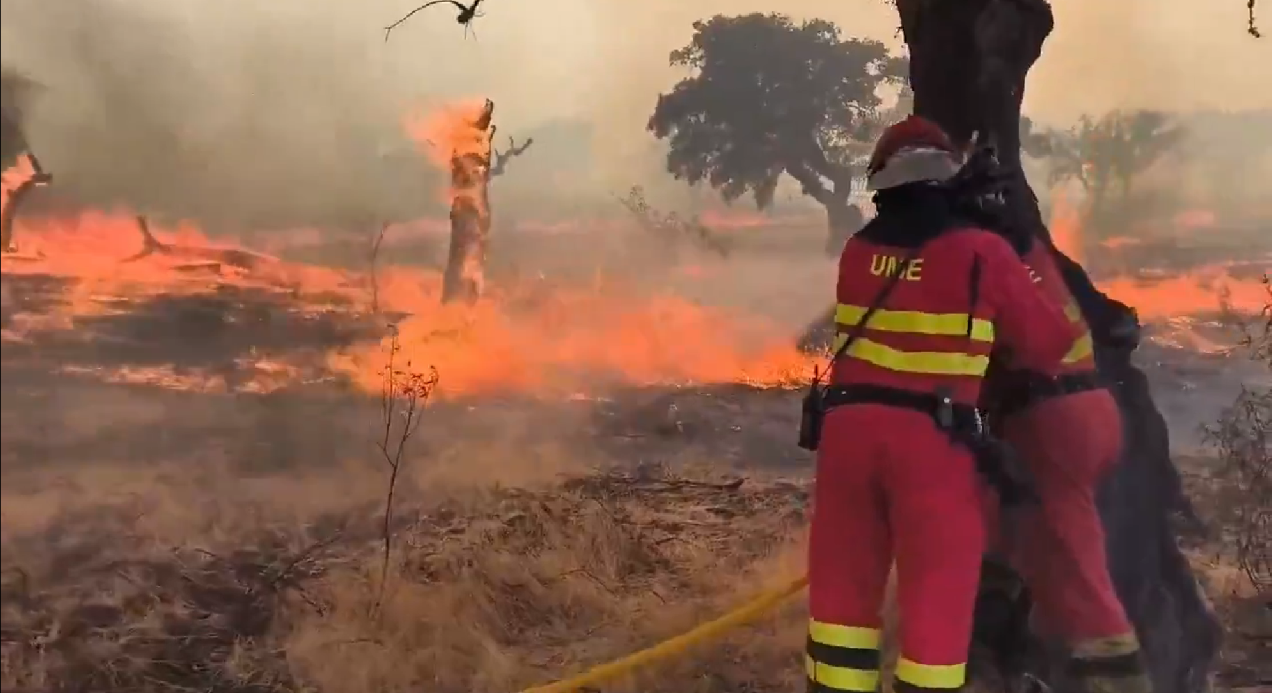 El angustiante vídeo de los militares de la UME tratando de apagar un incendio en Cáceres El angustiante vídeo de los militares de la UME tratando de apagar un incendio en Cáceres