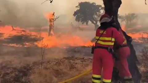 El angustiante vídeo de los militares de la UME tratando de apagar un incendio en Cáceres El angustiante vídeo de los militares de la UME tratando de apagar un incendio en Cáceres