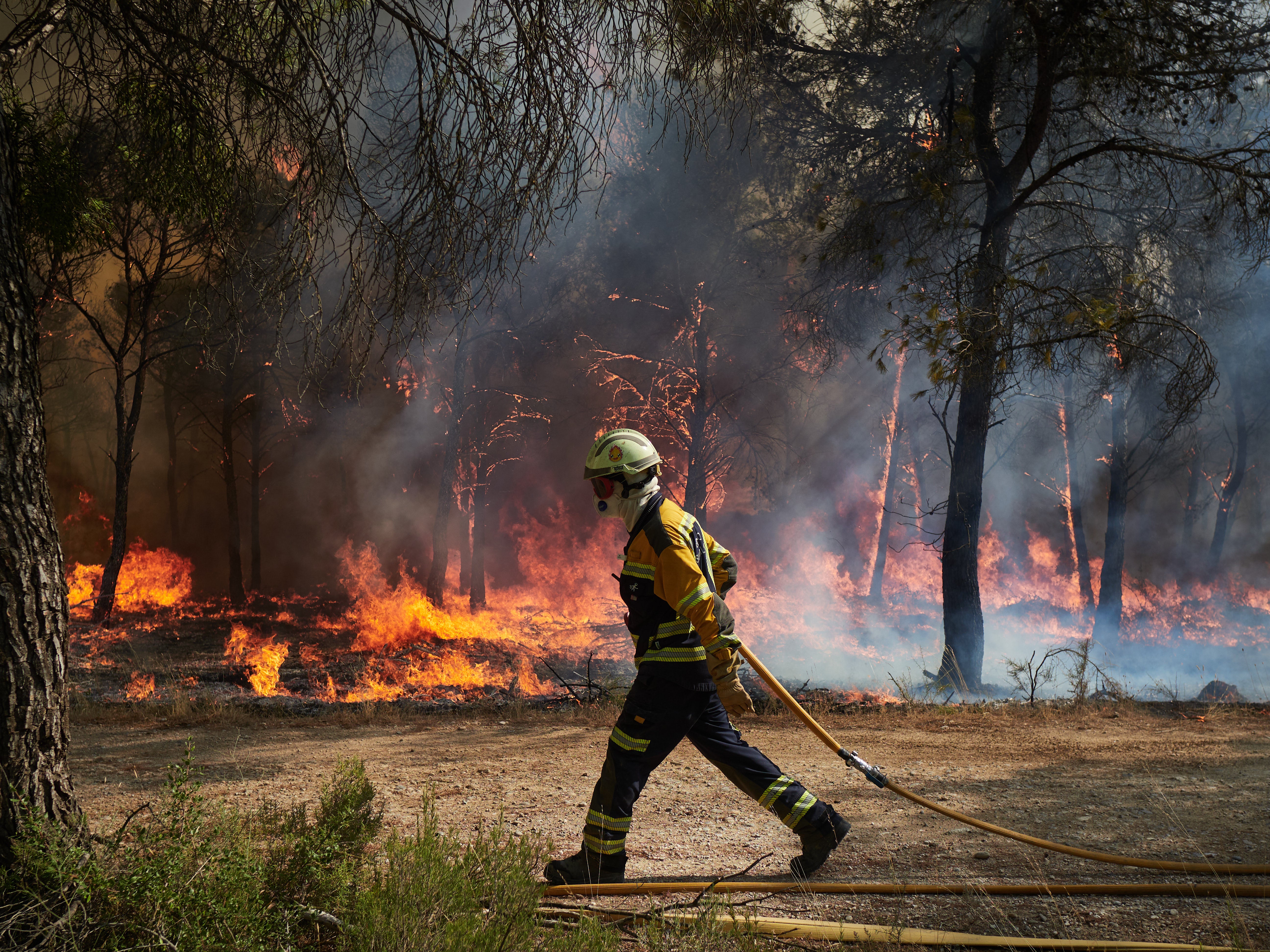 El peligroso cóctel que explica por qué en España hay tantos incendios: "El abandono rural, el cambio climático y la falta de gestión" El peligroso cóctel que explica por qué en España hay tantos incendios: "El abandono rural, el cambio climático y la falta de gestión"
