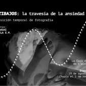Exposición Alfas del Pi Exposición Alfas del Pi