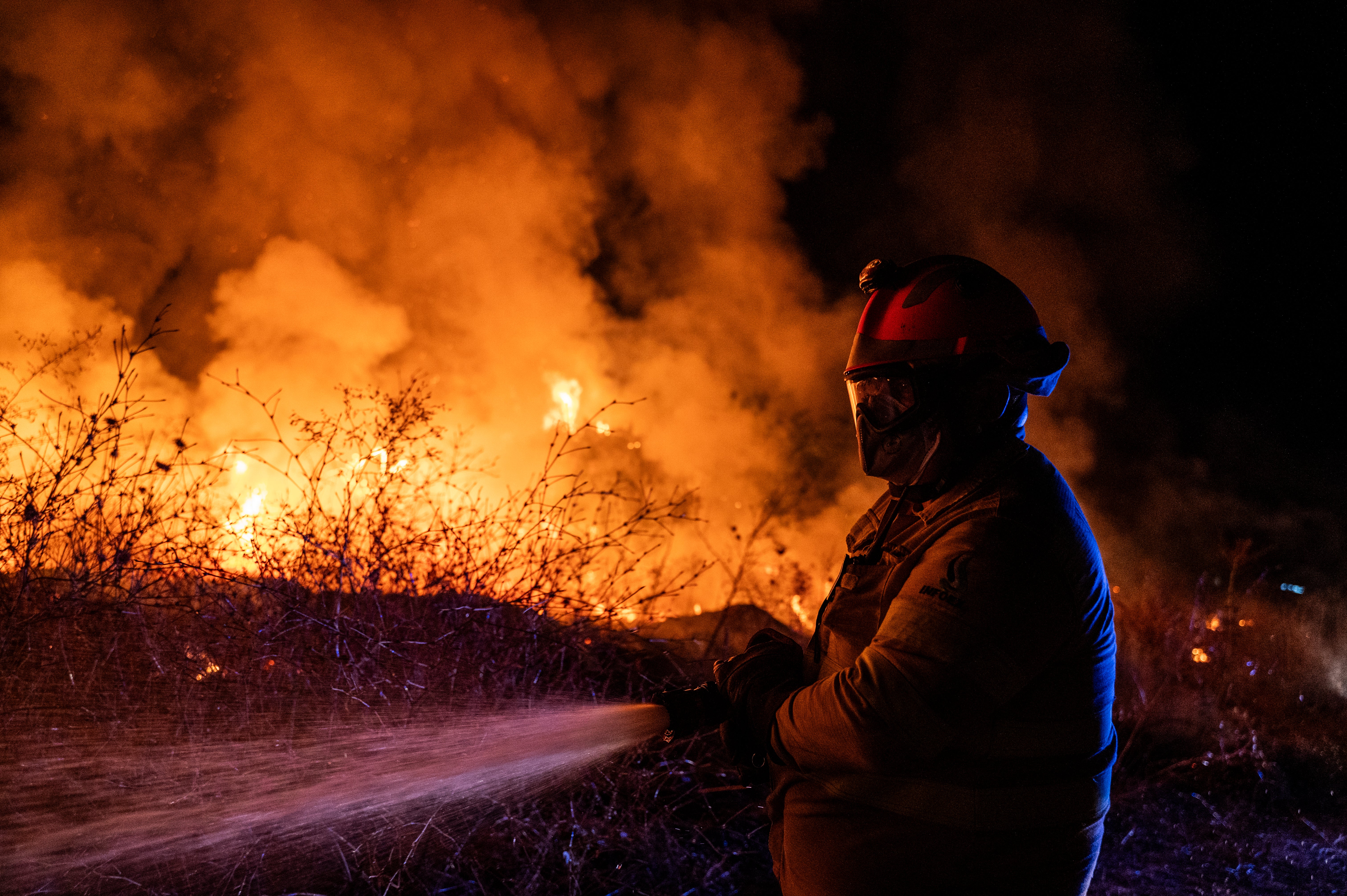 Los incendios baten un récord histórico: más de 344.000 hectáreas arrasadas en 2025 Los incendios baten un récord histórico: más de 344.000 hectáreas arrasadas en 2025