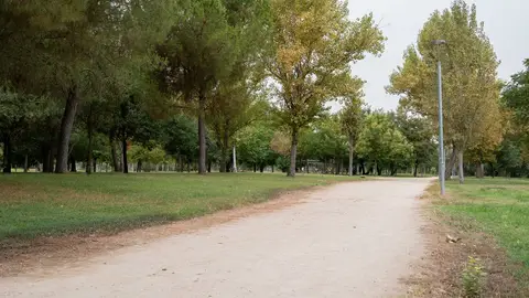 El Ayuntamiento implementa un plan de mejoras en los riegos de las zonas verdes de la ciudad El Ayuntamiento implementa un plan de mejoras en los riegos de las zonas verdes de la ciudad
