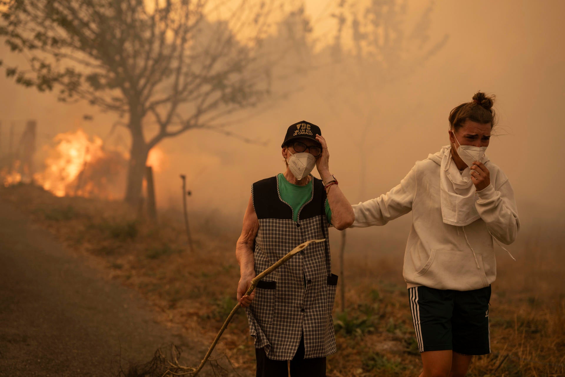 Última hora de los incendios en España, en directo: así está la situación actual en Galicia, Extremadura, Castilla y León, Asturias... Última hora de los incendios en España, en directo: así está la situación actual en Galicia, Extremadura, Castilla y León, Asturias...