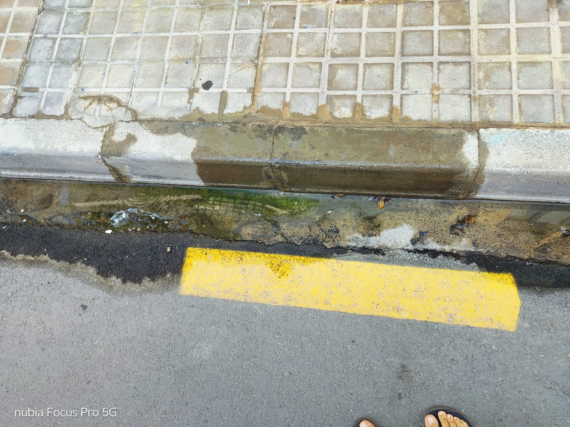 El Palmar, de reventón en reventón en verano: Los vecinos piden una solución definitiva El Palmar, de reventón en reventón en verano: Los vecinos piden una solución definitiva