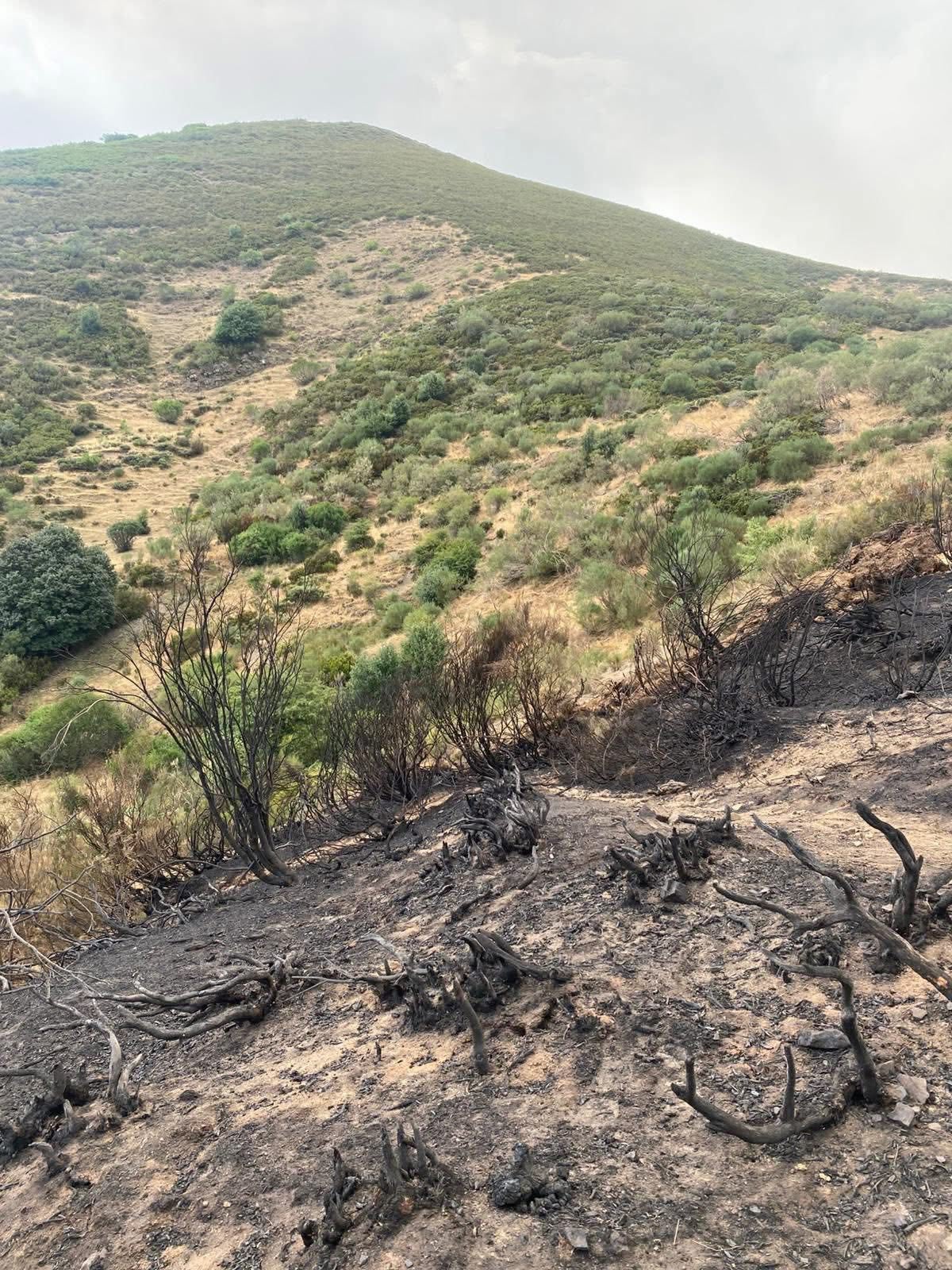 El alcalde de Cervera denuncia el “desmantelamiento de toda la red de cuidado que tiene que tener el Parque Natural" El alcalde de Cervera denuncia el “desmantelamiento de toda la red de cuidado que tiene que tener el Parque Natural"