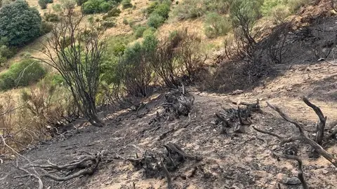 Incendio Montaña Palentina .