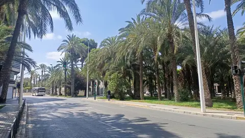 Plaza de Benidorm de Elche. Plaza de Benidorm de Elche.