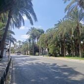 Plaza de Benidorm de Elche.