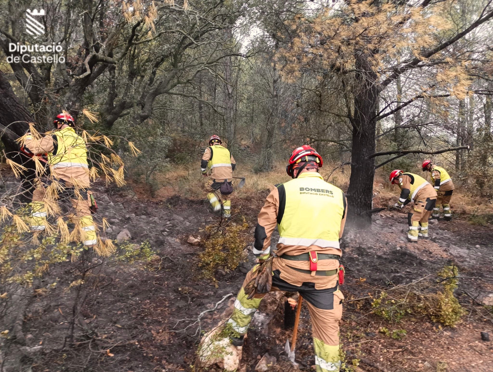 Actualización: el fuego se mantiene activo en Tales Actualización: el fuego se mantiene activo en Tales