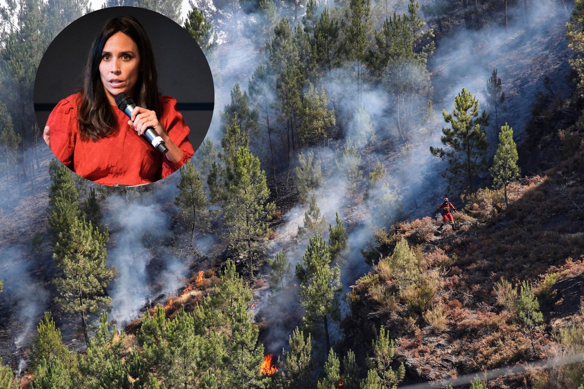 Pilar Velasco, sobre los incendios: "La pregunta es cuándo hay que activar una emergencia nacional" Pilar Velasco, sobre los incendios: "La pregunta es cuándo hay que activar una emergencia nacional"