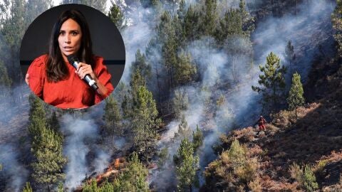 Montaje Pilar Velasco Incendios Montaje Pilar Velasco Incendios