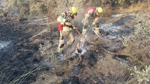Bomberos del Plan Infocam Bomberos del Plan Infocam