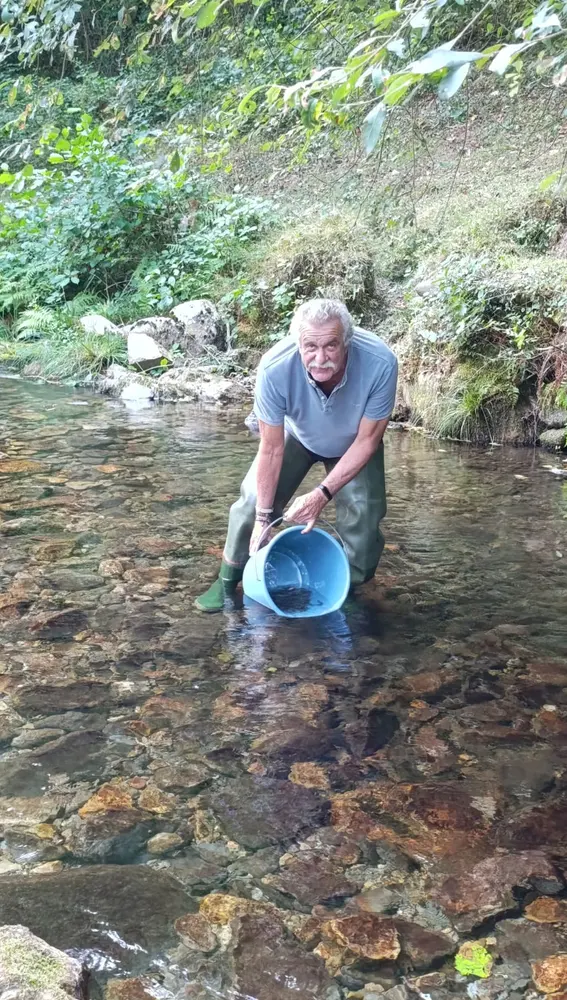 La Socala libera unos 12.000 alevines de trucha en los ríos de Boal, Navia y Porcía. La Socala libera unos 12.000 alevines de trucha en los ríos de Boal, Navia y Porcía.