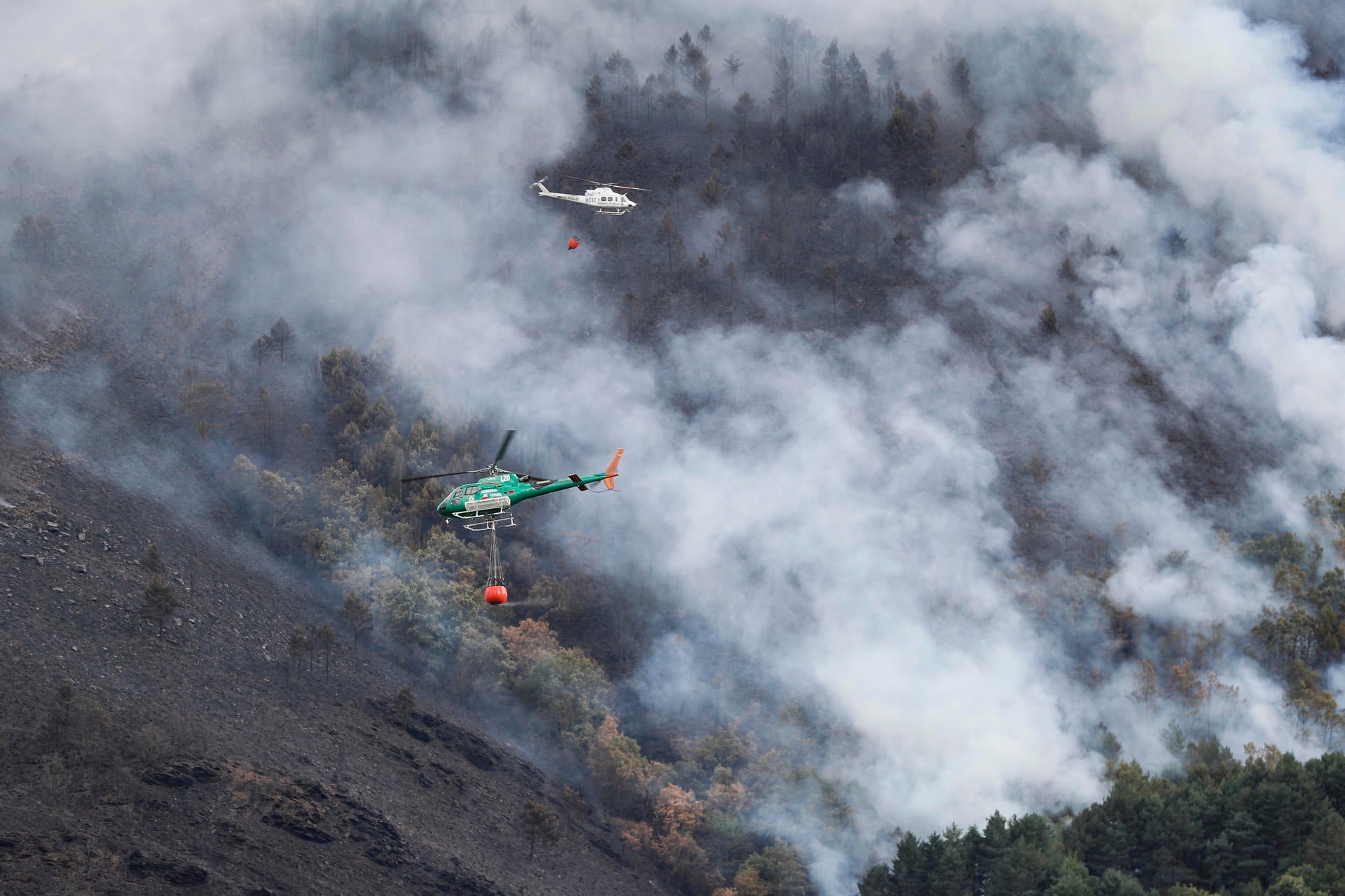 Científico del CSIC: "Sin el cambio climático no se puede explicar la extensión y la virulencia de estos incendios" Científico del CSIC: "Sin el cambio climático no se puede explicar la extensión y la virulencia de estos incendios"