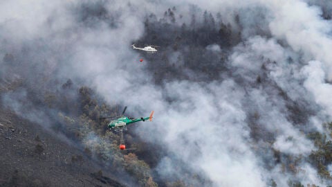 El incendio forestal originado en Larouco (Ourense), considerado ya el mayor de todos los declarados en Galicia desde que hay registros El incendio forestal originado en Larouco (Ourense), considerado ya el mayor de todos los declarados en Galicia desde que hay registros