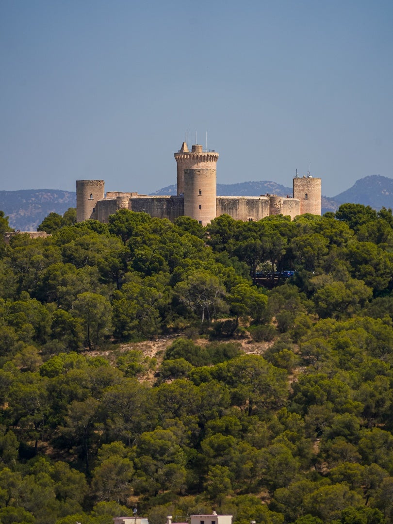 Los cementerios y tres parques de Palma cerrarán este miércoles ante la alerta naranja por lluvias Los cementerios y tres parques de Palma cerrarán este miércoles ante la alerta naranja por lluvias