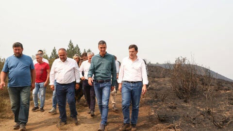 l presidente del Gobierno, Pedro S&aacute;nchez (2d), junto al presidente de la Junta de Castilla y Le&oacute;n, Alfonso Fern&aacute;ndez Ma&ntilde;ueco (d),