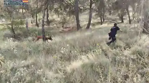 Vídeo: Continúan con las labores de búsqueda de la mujer desaparecida en Palencia Vídeo: Continúan con las labores de búsqueda de la mujer desaparecida en Palencia