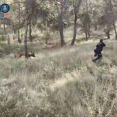 Vídeo: Continúan con las labores de búsqueda de la mujer desaparecida en Palencia